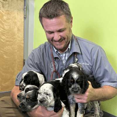 Puppy & Kitten Care