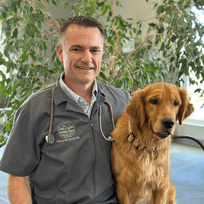 Dr. Trevor McCormick